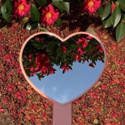 pg娱乐电子游戏官网下载手机版