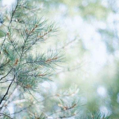 大发彩票官方官方平台app