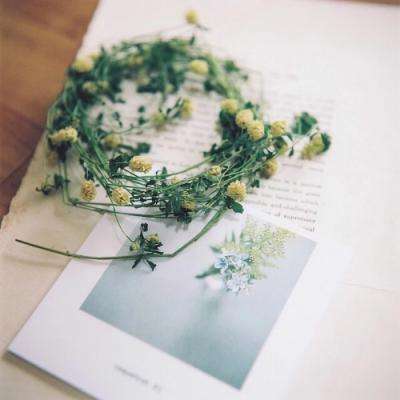 电子mg官方网站