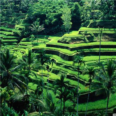 皇冠app官方版下载安卓