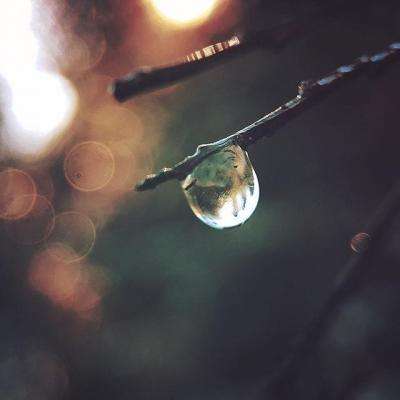 澳门mgm娱乐官网手机app下载