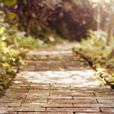 安博.体育下载手机版